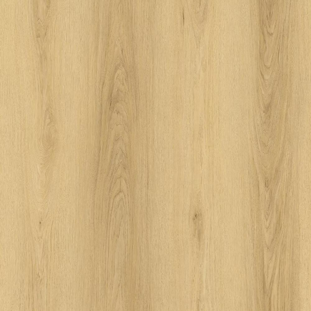 (image for) Parkay XDP Dryback Extreme 9-1/4\" x 60\" Waterproof Luxury Vinyl Plank DB - Blonde - XDP-PARDRYBLO 23001